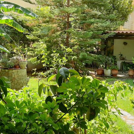 Lovely House Атина Екстериор снимка
