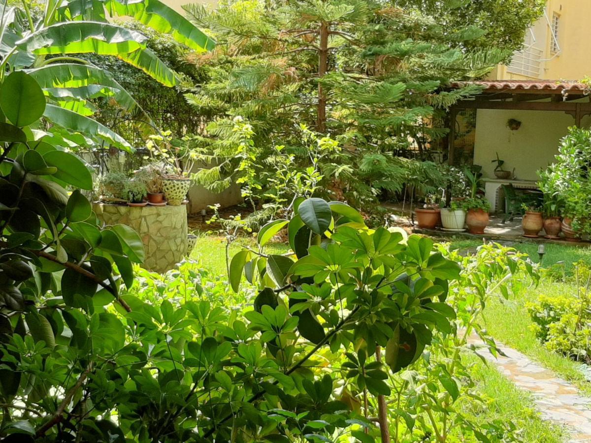 Lovely House Атина Екстериор снимка